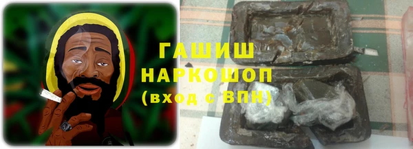 2c-b Новозыбков