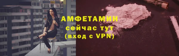индика Нефтекумск