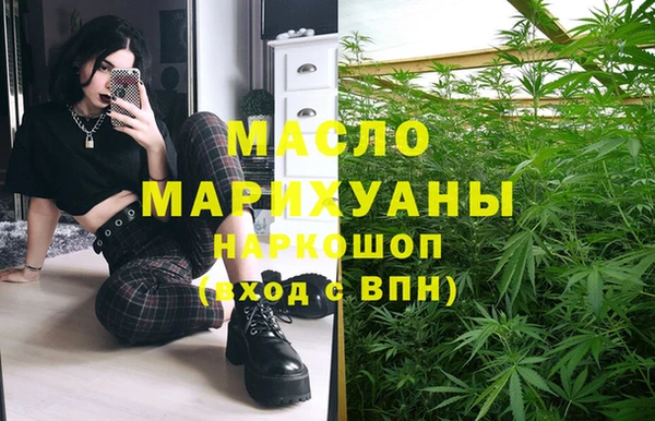 индика Нефтекумск