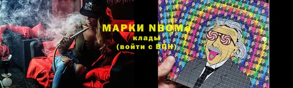 2c-b Новозыбков