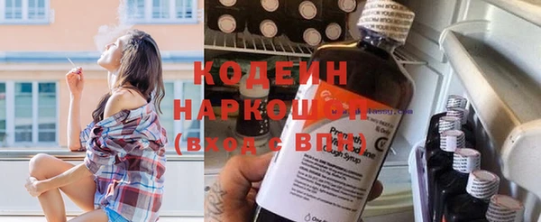 молекула духа Рыльск