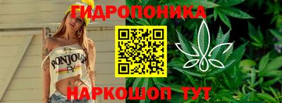 apvp Апшеронск