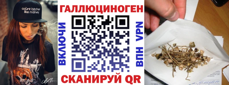 Галлюциногенные грибы Psilocybine cubensis  купить наркотики цена  Ачинск 
