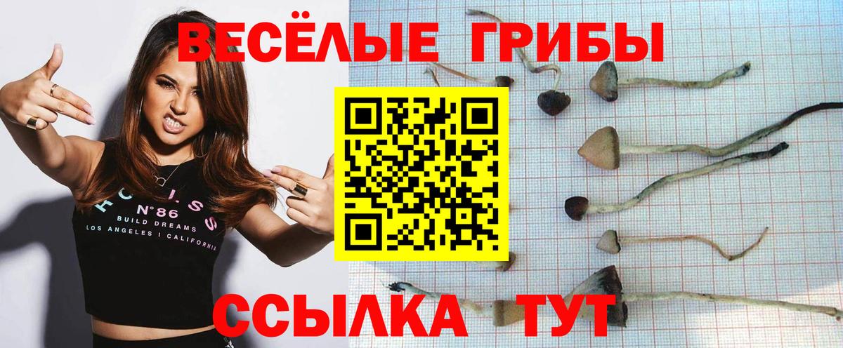 Псилоцибиновые грибы мухоморы  закладки  Ачинск  Вход с VPN 